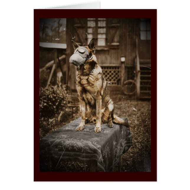 Deutscher Schäferhund in Gasmaske (Vorne)