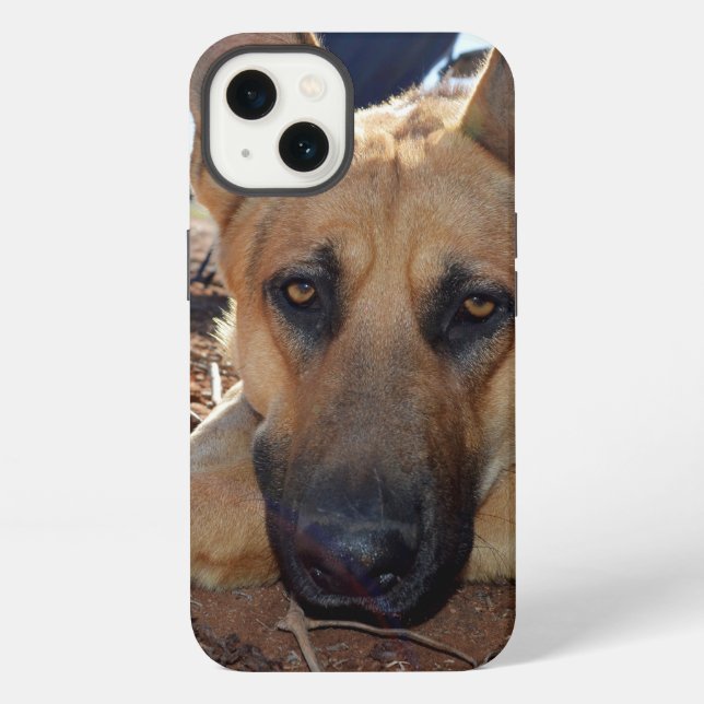 Deutscher Schäferhund Katzennickerchen, iPhone 13  Hülle (Rückseite)