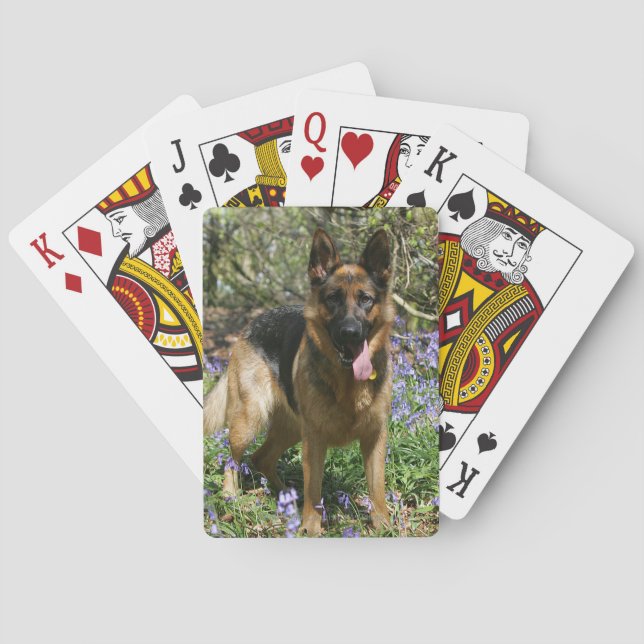 Deutscher Schäferhund legt ab Spielkarten (Rückseite)