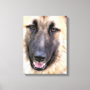 DEUTSCHER SCHÄFERHUND LEINWANDDRUCK
