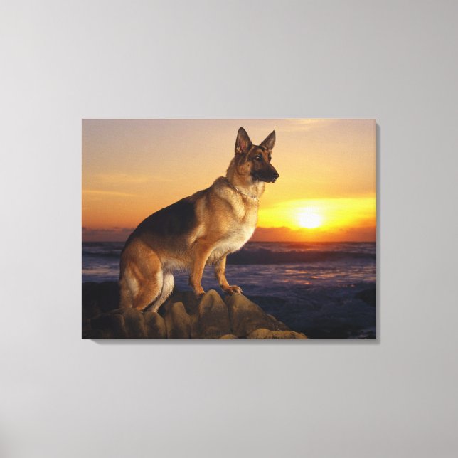 Deutscher Schäferhund Leinwanddruck (Vorderseite)
