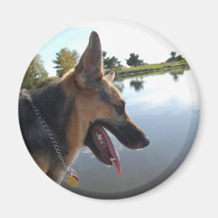 Deutscher Schäferhund Magnet