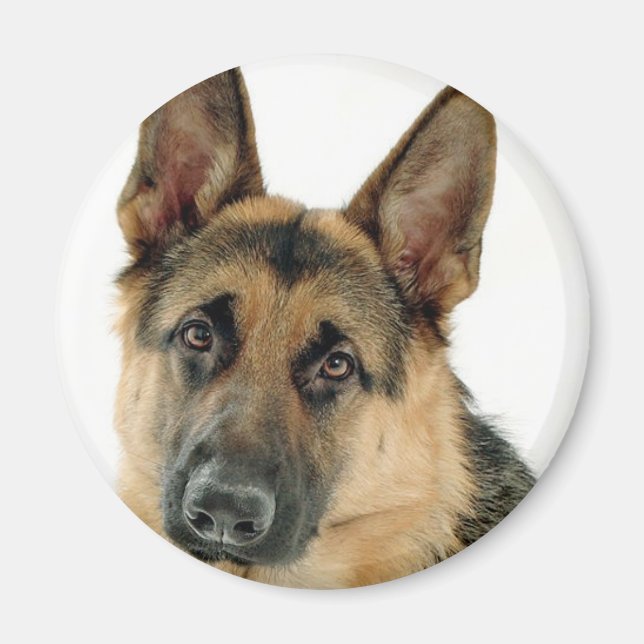 Deutscher Schäferhund Magnet (Vorne)