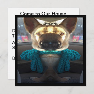 Deutscher Schäferhund Mirrored Verzerrung Einladung