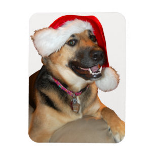 Deutscher Schäferhund mit einem Weihnachtshut Magnet