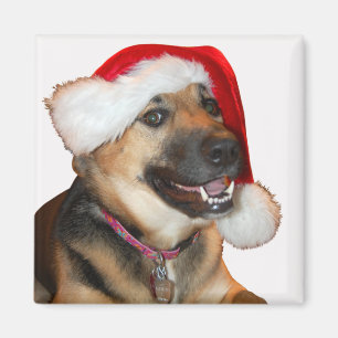 Deutscher Schäferhund mit einem Weihnachtshut Magnet