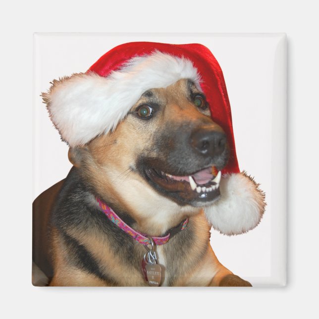 Deutscher Schäferhund mit einem Weihnachtshut Magnet (Vorne)