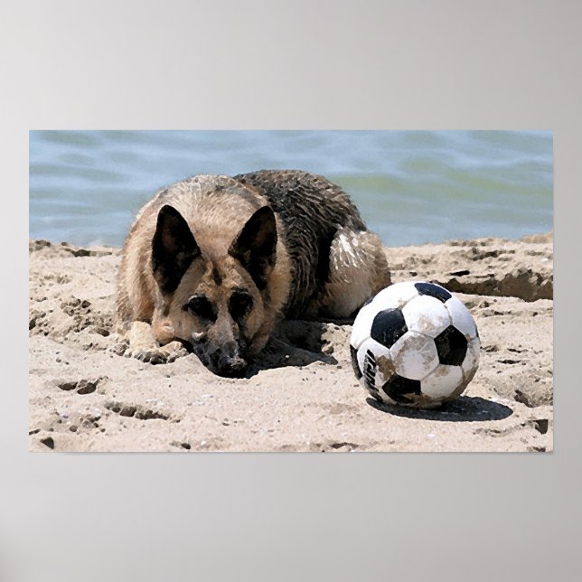 Deutscher Schäferhund mit Fußballball-Poster druck Poster (Vorne)