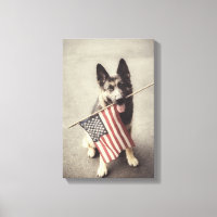 Deutscher Schäferhund mit US-Flagge
