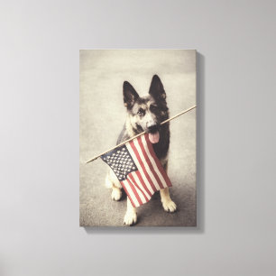 Deutscher Schäferhund mit US-Flagge Leinwanddruck