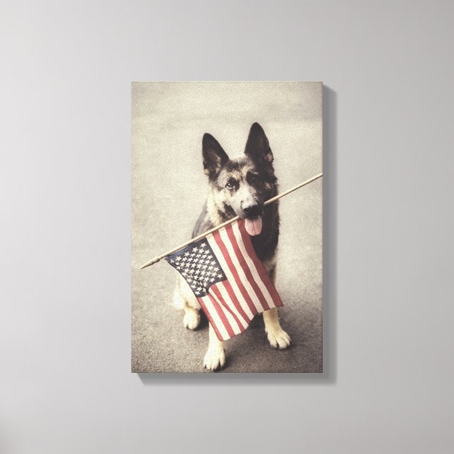 Deutscher Schäferhund mit US-Flagge Leinwanddruck (Vorderseite)
