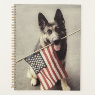 Deutscher Schäferhund mit US-Flagge Planer