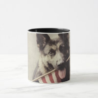 Deutscher Schäferhund mit US-Flagge