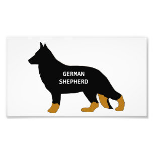 Deutscher Schäferhund Name Silo Bi-Farbe Fotodruck