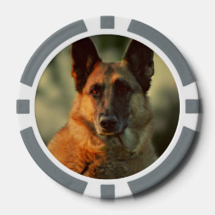 Deutscher Schäferhund Pokerchips