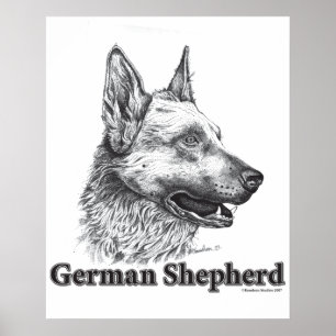 Deutscher Schäferhund Poster