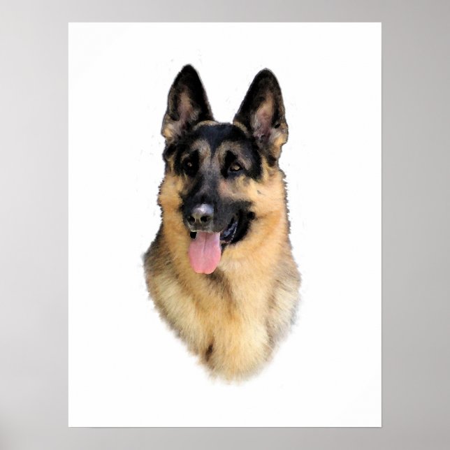 Deutscher Schäferhund Poster (Vorne)