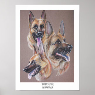 Deutscher Schäferhund Poster