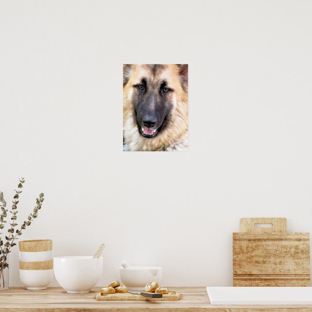 DEUTSCHER SCHÄFERHUND POSTER (Küche)