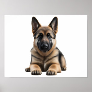 Deutscher Schäferhund Poster