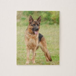 Deutscher Schäferhund Puzzle