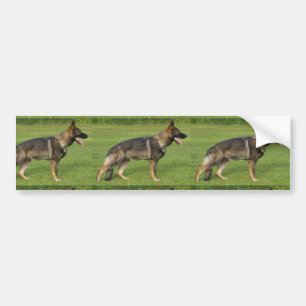 Deutscher Schäferhund Sable Voll Autoaufkleber