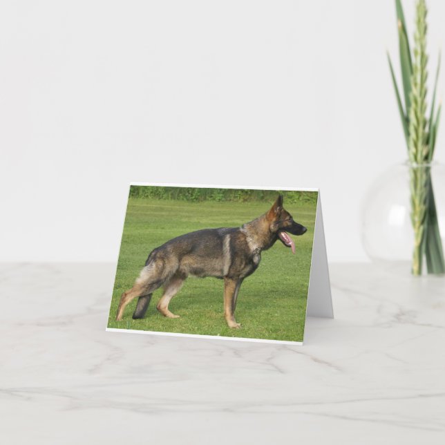 Deutscher Schäferhund Sable Vollständig Karte (Vorderseite)