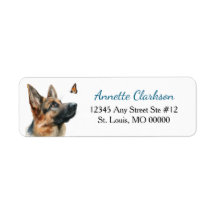 Deutscher Schäferhund Schmetterling Wunder