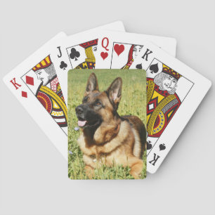 Deutscher Schäferhund Spielkarten