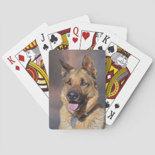 Deutscher Schäferhund Spielkarten