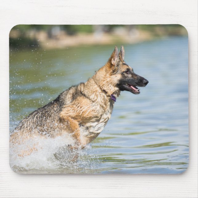 Deutscher Schäferhund springt ins Wasser Mousepad (Vorne)