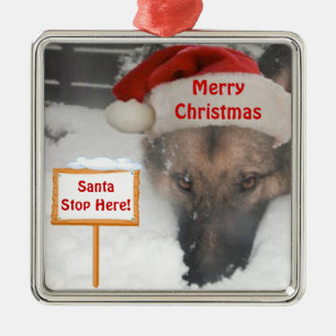 Deutscher Schäferhund Weihnachtsanfang hier Unters Silbernes Ornament