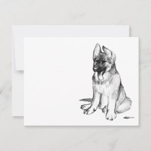 Deutscher Schäferhund-Welpe