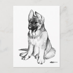 Deutscher Schäferhund-Welpe Postkarte