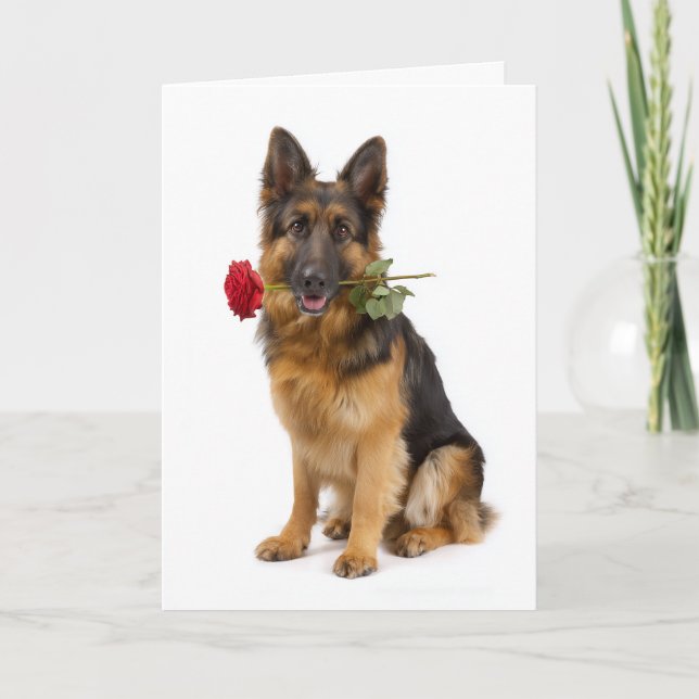 Deutscher Schäferhund zum Valentinstag Karte (Vorderseite)