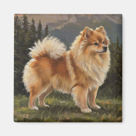 Deutscher Spitz Magnet