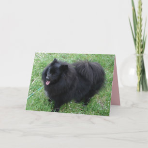 Deutscher Spitz Süße schwarze Pomeranian-Hunde Kar Karte