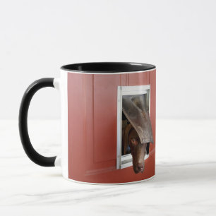 Deutscher Zeiger, der draußen, durch Hündchen Tasse