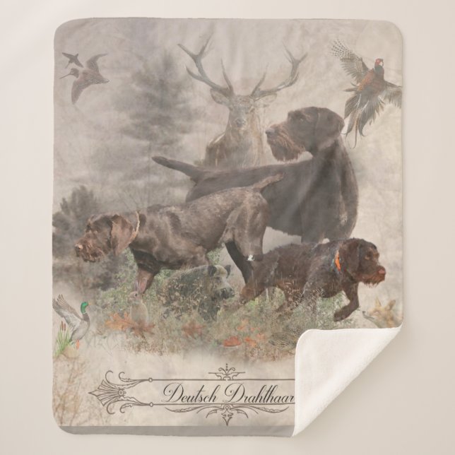 Deutsches Drahthaar-Bindeband Außenkissen Sherpadecke (Vorderseite)