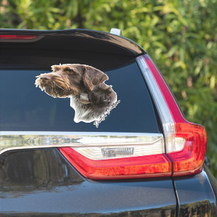 Deutsches Drahthaar Pointer Aufkleber