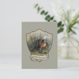 Deutsches Drahthaar Pointer, Boarenjagd Postkarte