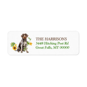 Deutsches Drahthaar Pointer Dog Sonnenblumenkranz