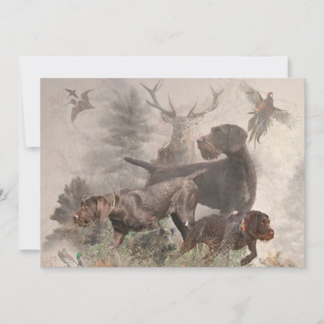 Deutsches Drahthaar Pointer Einladung (Vorderseite)