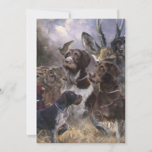 Deutsches Drahthaar Pointer Einladung