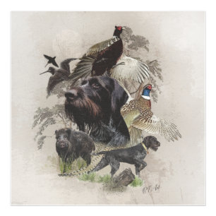 Deutsches Drahthaar Pointer Fotodruck