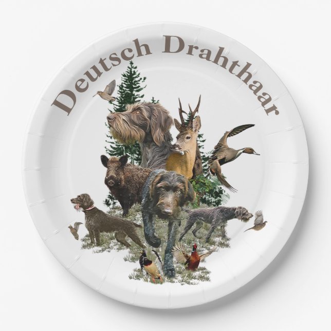 Deutsches Drahthaar Pointer Pappteller (Vorderseite)