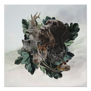 Deutsches Drahthaar Pointer Poster