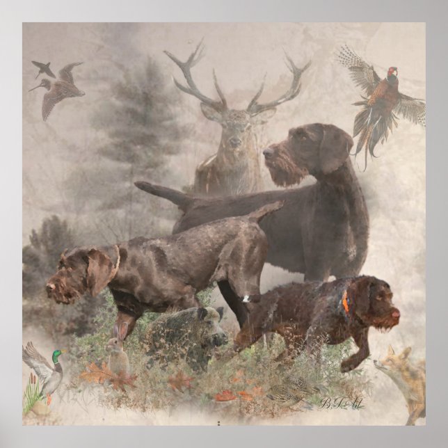 Deutsches Drahthaar Pointer Poster (Vorne)