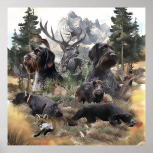 Deutsches Drahthaar Pointer Poster
