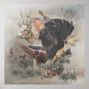 Deutsches Drahthaar Pointer Poster